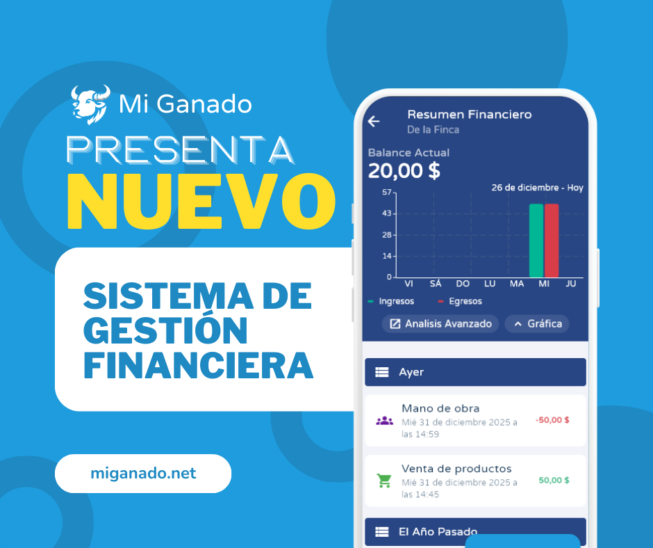 Imagen de actualización 0.13.0